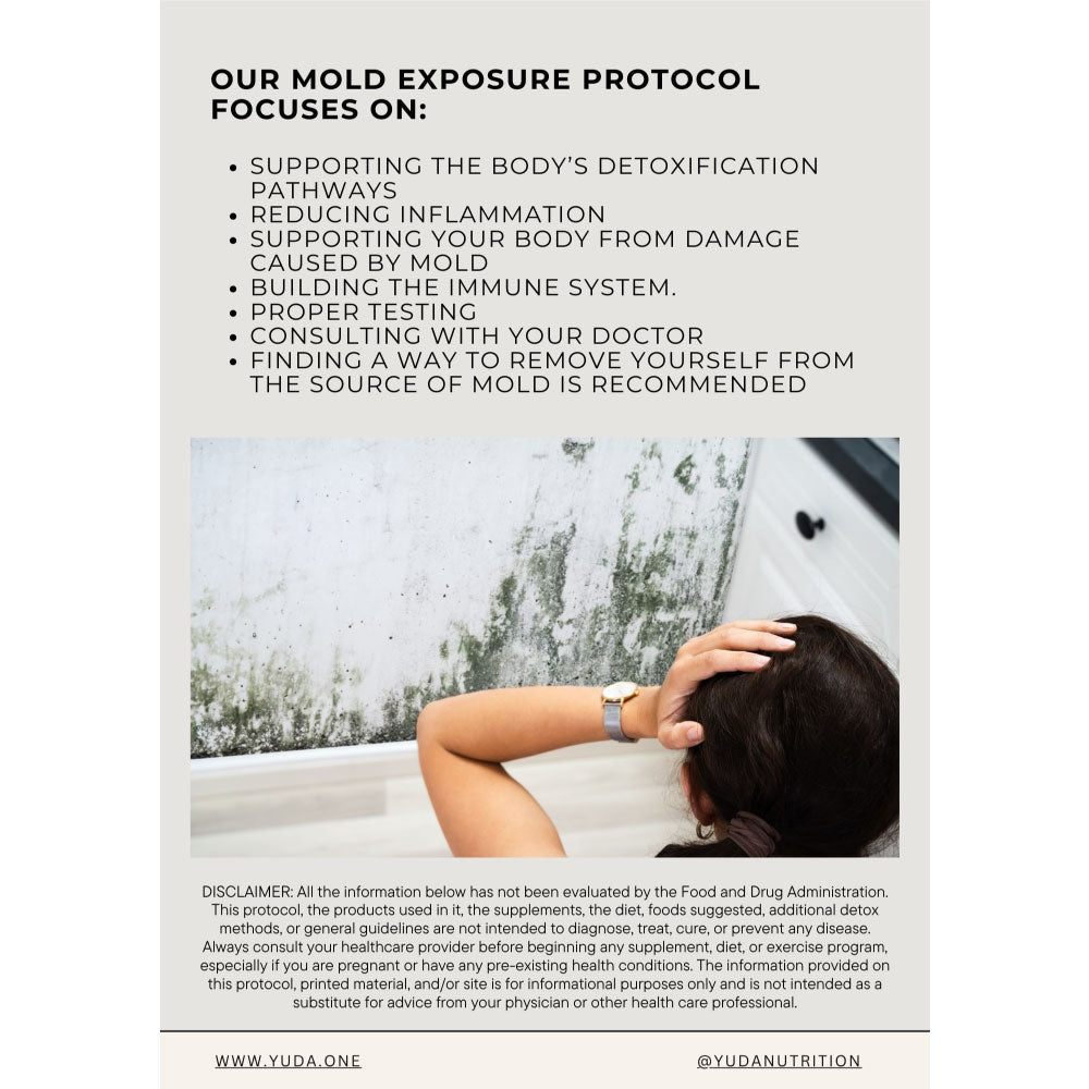 Mold Exposure Protocol eBook